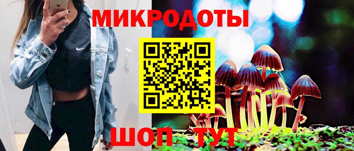 Псилоцибиновые грибы Cubensis Бугульма